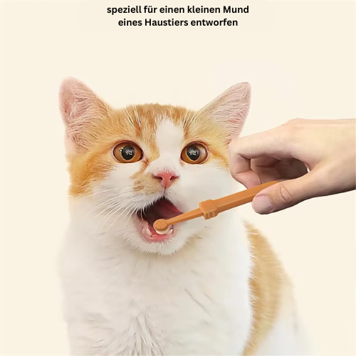BrushPfote - das Original