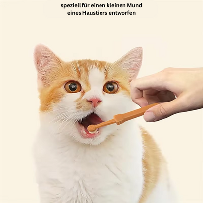 BrushPfote - das Original