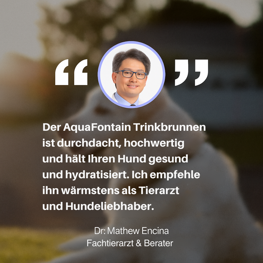 AquaFontain - frisches Wasser, glückliches Haustier