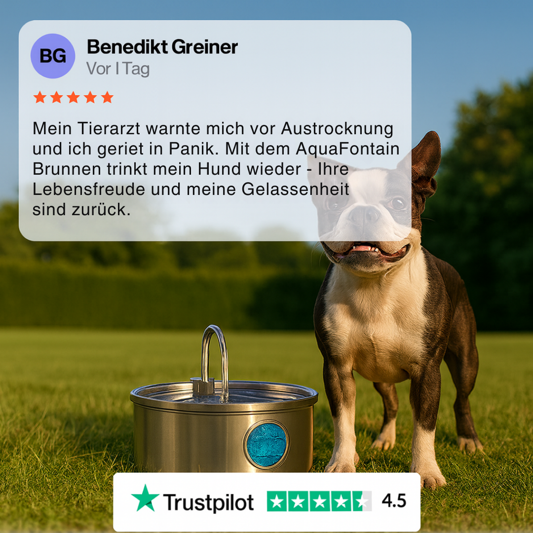 AquaFontain - frisches Wasser, glückliches Haustier