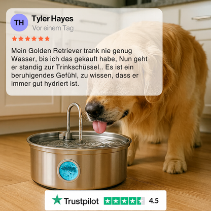 AquaFontain - frisches Wasser, glückliches Haustier