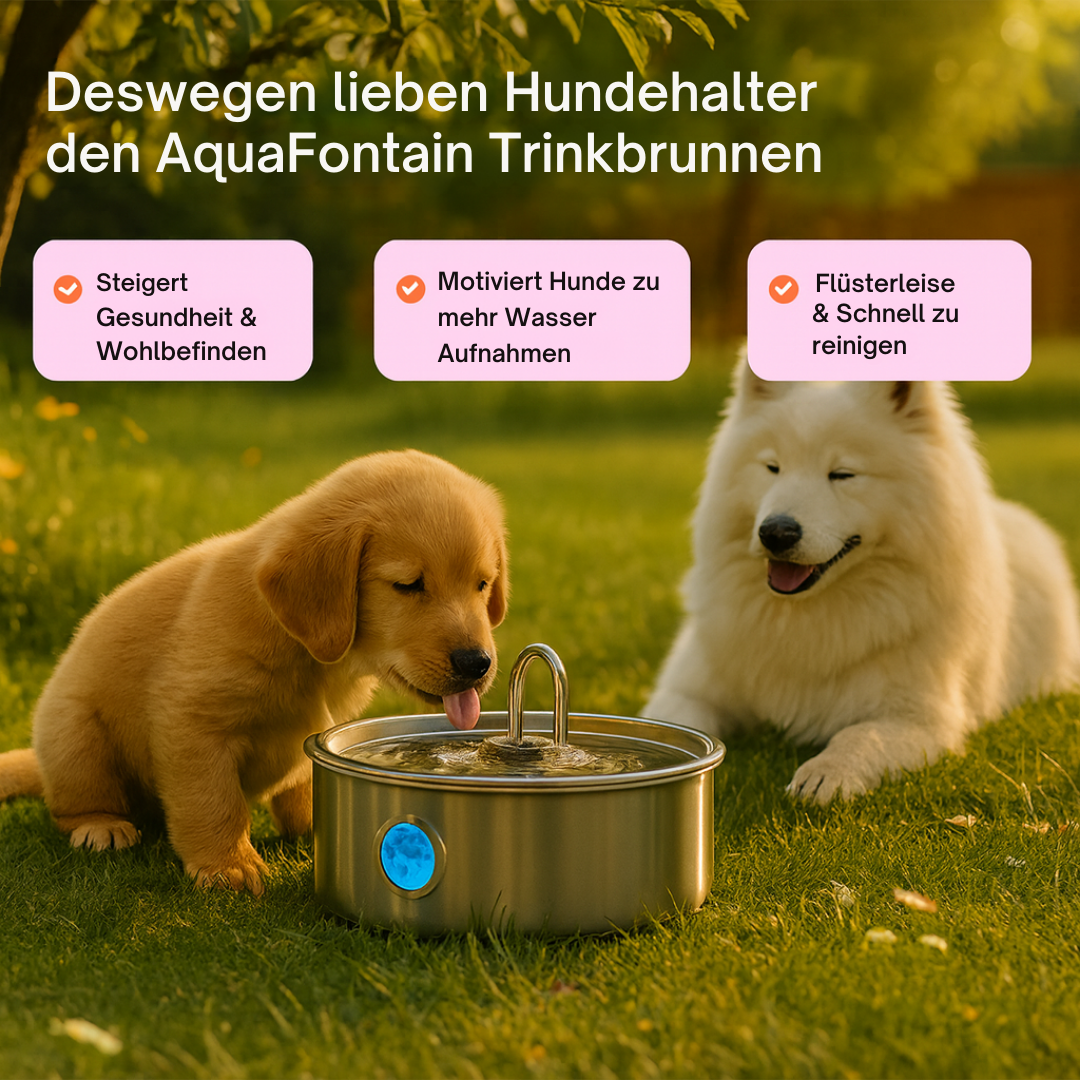 AquaFontain - frisches Wasser, glückliches Haustier
