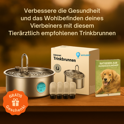AquaFontain - frisches Wasser, glückliches Haustier
