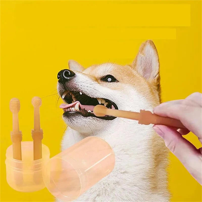 BrushPfote - das Original