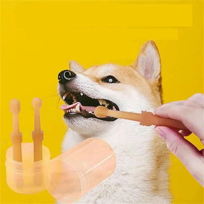 BrushPfote - das Original